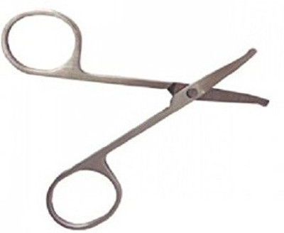 VEGA Nasal Safety ,Ns-01 Scissors(Set of 1, Sliver)