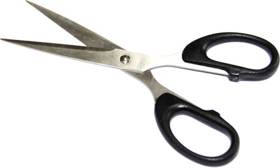 Global Home Stainless Steel Scissors-13.5 cm -All Purpose Scissors(Set of 1, Black)
Global Home Stainless Steel Scissors-13.5 cm -All Purpose Scissors(Set of 1, Black)