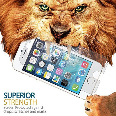 Gadget Smith Screen Guard for Apple iPhone 5, Transparent