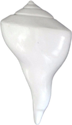 Divine Temples Auspicious & Good Luck Dakshinavarti (10.5 cms) Sacred Shankh(White)
Divine Temples Auspicious & Good Luck Dakshinavarti (10.5 cms) Sacred Shankh(White)