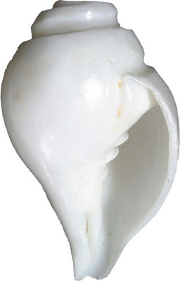 Divine Temples Vishnu (9.5 cms) Blowing Shankh(White)