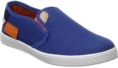 Stylon Boys(Blue, Multicolour