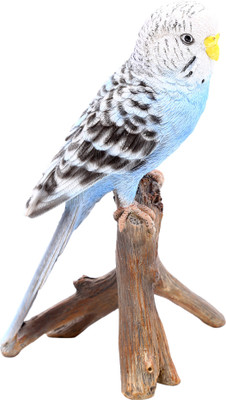 shivika enterprises blue bird sitting on branch Decorative Showpiece - 17 cm(Polyresin, Blue)
shivika enterprises blue bird sitting on branch Decorative Showpiece - 17 cm(Polyresin, Blue)