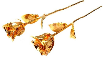 Pllanet Gold Real Rose Dipped In Gold & Silver Decorative Showpiece - 28 cm(Gold Plated, Gold)
Pllanet Gold Real Rose Dipped In Gold & Silver Decorative Showpiece - 28 cm(Gold Plated, Gold)