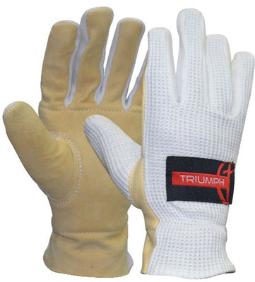 Triumph Wicket Keeper Batting Gloves (Free Size, White)