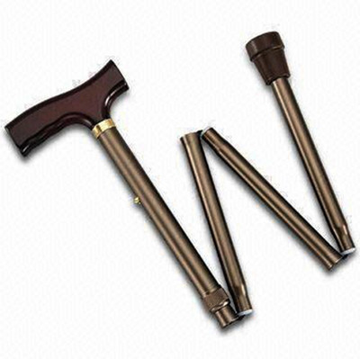 Health Track Folding Walking Stick