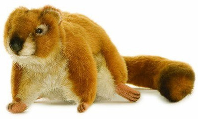 Hansa Central Park Squirrel Plush12" - 12 inch(Brown)