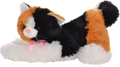 Twisha Cat With Music 3 Colour Sleeping Medium - 10 inch(White, Black, Brown), Black;brown;white
Twisha Cat With Music 3 Colour Sleeping Medium - 10 inch(White, Black, Brown), Black;brown;white