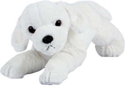 ToynJoy Small Lying White Dog Puppy Cute Soft & Plush toy as Special Gift - 30 cm(White)