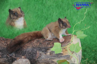 Hansa Leadbetter Possum Plush 4"(Brown)