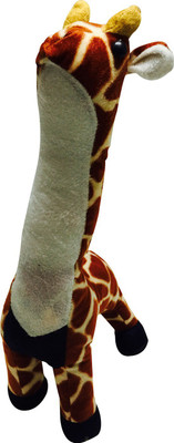 Priyankish STSG - 17 inch(Brown, White)