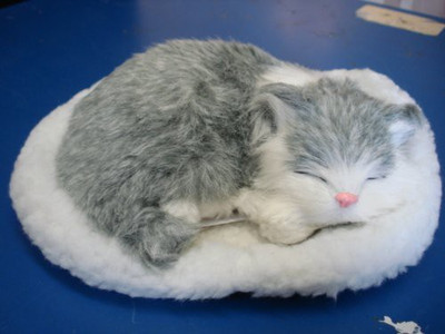 BlowOutBarn Gray Tab Cat Plush Breathing With Bed Adopt A Pet Sc5503 - 7 inch(White)
BlowOutBarn Gray Tab Cat Plush Breathing With Bed Adopt A Pet Sc5503 - 7 inch(White)