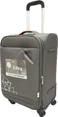 Pinnacle Upright Check-in Luggage - inch(Grey