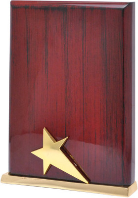 Frontfoot Sports FTK - 15099 (23.75 cm) Trophy(23.75)