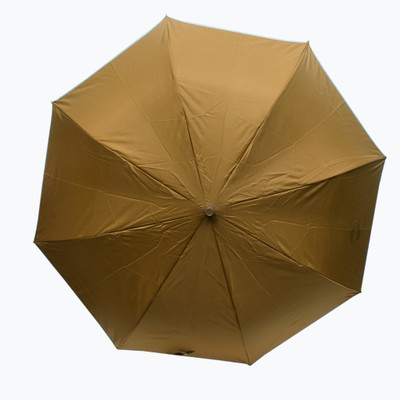 AARIP 2 Fold Citizen Umbrella(Brown)