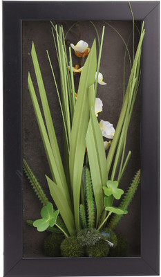 Fourwalls Artificial Succulent Wall Hanging Garden - 7(20 cm X cm 35, Black, Green)
Fourwalls Artificial Succulent Wall Hanging Garden - 7(20 cm X cm 35, Black, Green)