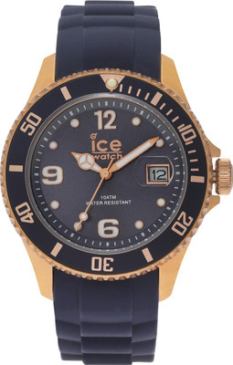 Ice IS.DAR.U.S.13 Watch - For Men & Women