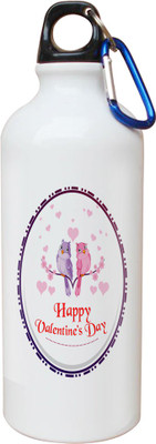 SKY TRENDS Opaque Series 600 ml Water Bottle(Set of 1, White)