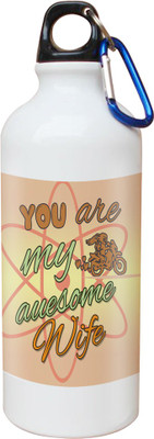 SKY TRENDS Opaque Series 600 ml Water Bottle(Set of 1, White)