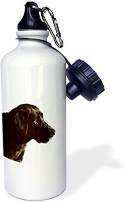 3dRose 621 ml Water Purifier Bottle(White)