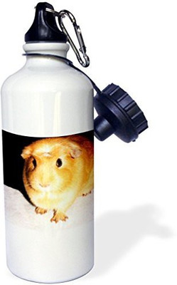 3dRose 621 ml Water Purifier Bottle(White) 
3dRose 621 ml Water Purifier Bottle(White)