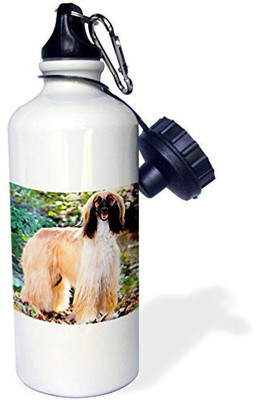 3dRose 621 ml Water Purifier Bottle(White)