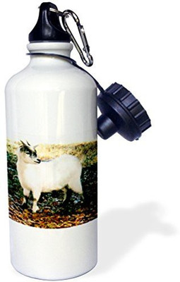 3dRose 621 ml Water Purifier Bottle(White)