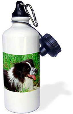 3dRose 621 ml Water Purifier Bottle(White)