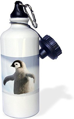 3dRose 621 ml Water Purifier Bottle(White)