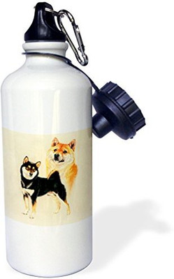 3dRose 621 ml Water Purifier Bottle(White)