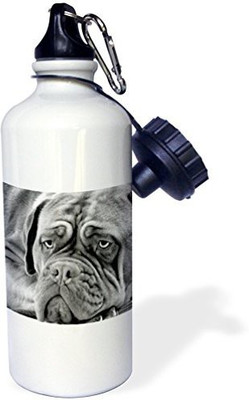 3dRose 621 ml Water Purifier Bottle(White)