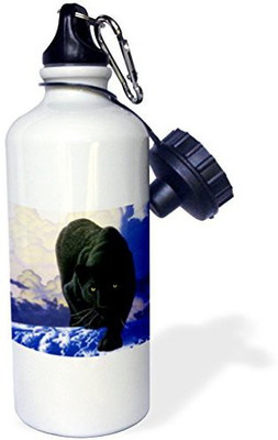 3dRose 621 ml Water Purifier Bottle(White)