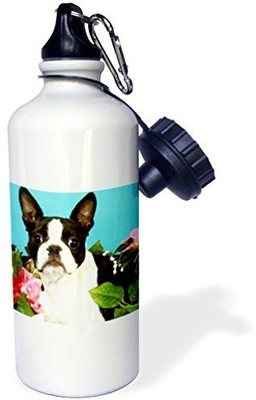 3dRose 621 ml Water Purifier Bottle(White)
3dRose 621 ml Water Purifier Bottle(White)