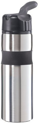 Oggi 739 ml Water Purifier Bottle(Silver)