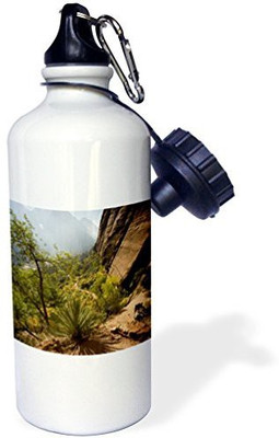 3dRose 621 ml Water Purifier Bottle(White)