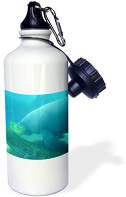 3dRose 621 ml Water Purifier Bottle(White)