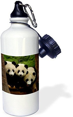 3dRose 621 ml Water Purifier Bottle(White)