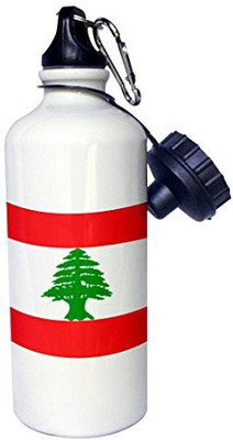3dRose 621 ml Water Purifier Bottle(White)