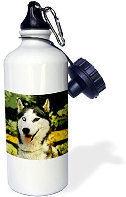 3dRose 621 ml Water Purifier Bottle(White)