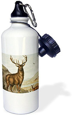 3dRose 621 ml Water Purifier Bottle(White)