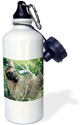 3dRose 621 ml Water Purifier Bottle(White)