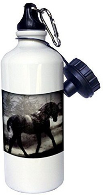 3dRose 621 ml Water Purifier Bottle(White)