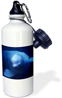 3dRose 621 ml Water Purifier Bottle(White)