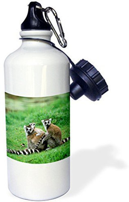 3dRose 621 ml Water Purifier Bottle(White)