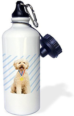 3dRose 621 ml Water Purifier Bottle(White)