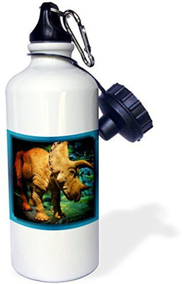 3dRose 621 ml Water Purifier Bottle(White)