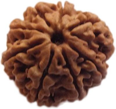 ByCue Certified 8 Mukhi Rudraksha (nepal Collector Size) Wooden Yantra(Pack of 1)
ByCue Certified 8 Mukhi Rudraksha (nepal Collector Size) Wooden Yantra(Pack of 1)