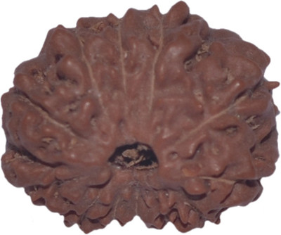 Navkaar Creation 13 Mukhi Rudraksha Java 17.03mm Lab Certified Wooden Yantra
Navkaar Creation 13 Mukhi Rudraksha Java 17.03mm Lab Certified Wooden Yantra