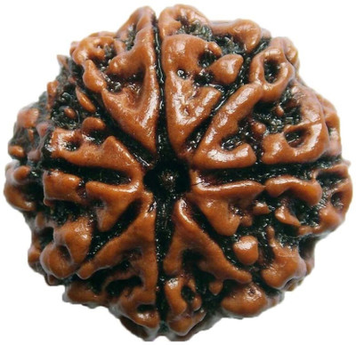 SHIVOHAM 8 Mukhi Rudraksha. Wooden Yantra