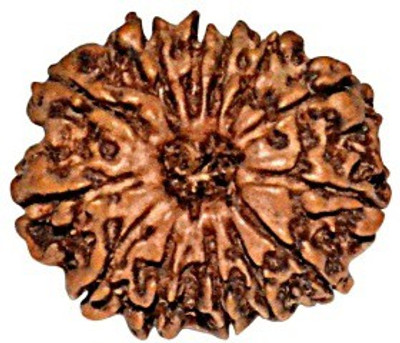 ByCue Certified Natural 13 Mukhi Rudraksha Nepal 24mm Wooden Yantra(Pack of 1)
ByCue Certified Natural 13 Mukhi Rudraksha Nepal 24mm Wooden Yantra(Pack of 1)